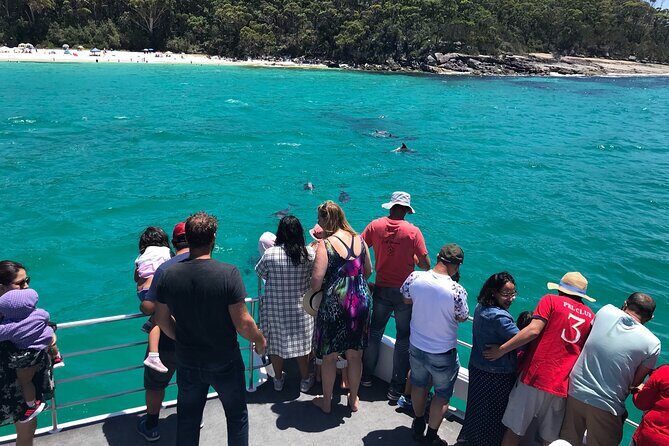Jervis Bay Dolphin Cruise - Who Should Consider This Tour?