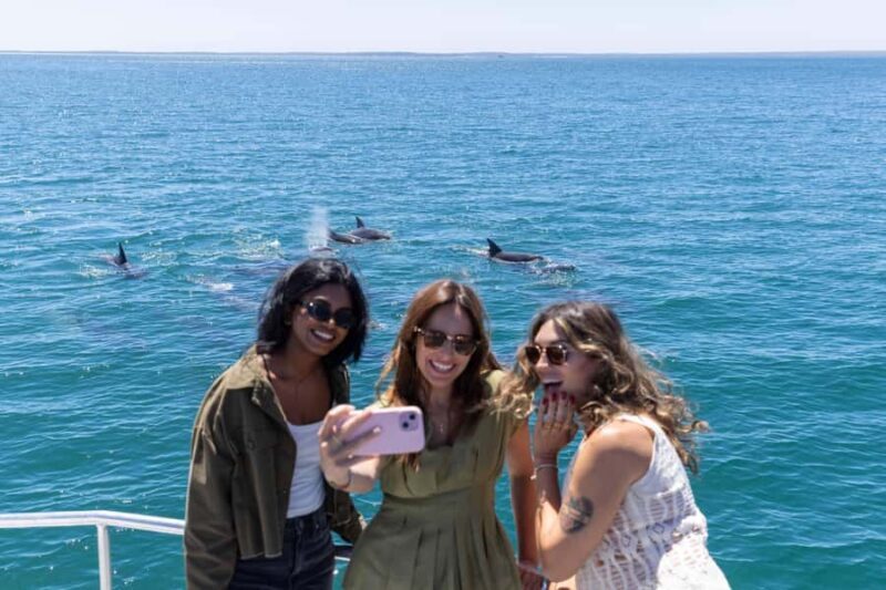 Jervis Bay Dolphin Cruise, Lunch, Berry&Kiama Blowhole Tour - Who Will Love This Tour?