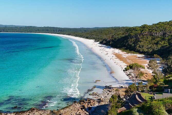 Jervis Bay Highlights Tour  Small Group Experience Scenic Coast - A Complete Guide to the Jervis Bay Highlights Tour