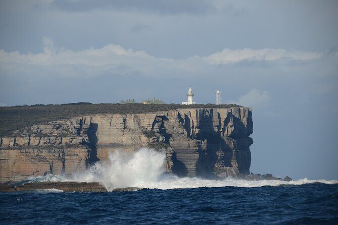 Jervis Bay Passage Tour - What to Expect from the Jervis Bay Passage Tour