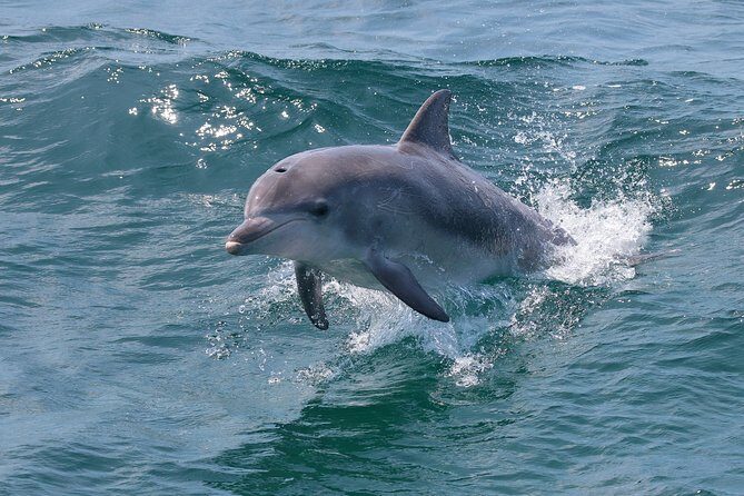 Jervis Bay Passage Tour - Practical Details to Keep in Mind