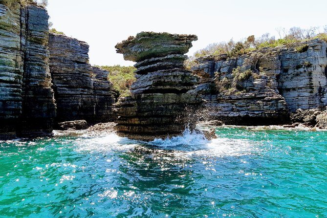 Jervis Bay Passage Tour - The Sum Up