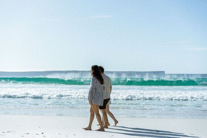 Jervis Bay Private Tour - Key Points