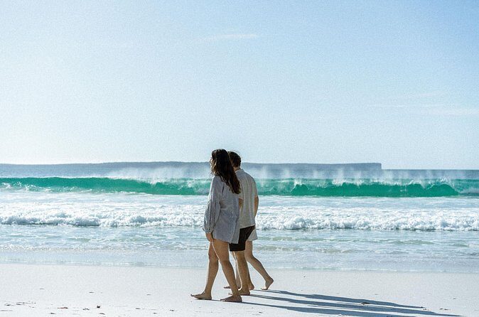 Jervis Bay Private Tour - Discovering Jervis Bay
