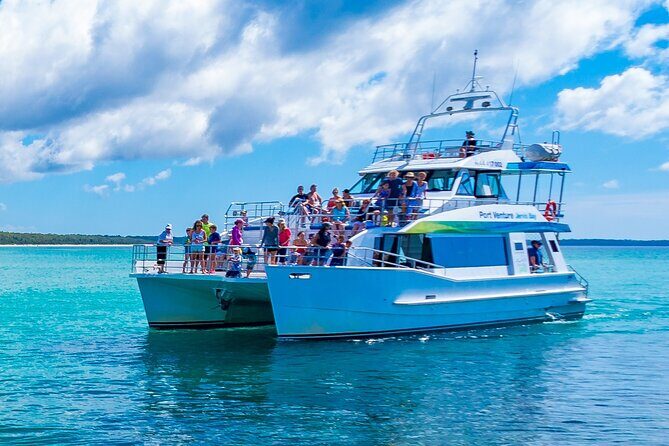 Jervis Bay Whale Watching Tour - The Wildlife Encounter: What You Might See