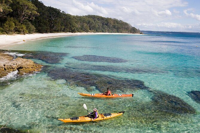 Jervis Bay Whale Watching Tour - Practical Details and Value