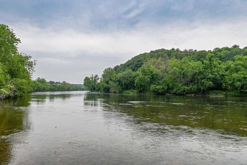 jet-boat-adventure-seven-islands-state-birding-park-tour