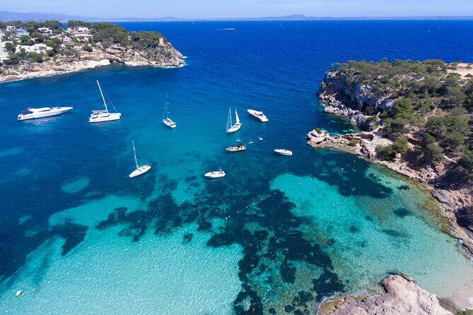Jet Boat Excursion in South West Coast of Mallorca - The Sum Up: Who Should Book This Tour?