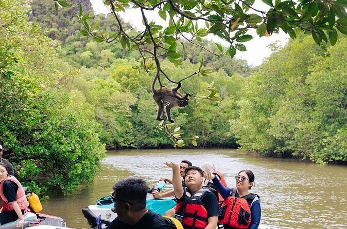 Jet Ski Kilim Mangrove Tour - Who Is This Tour Best For?