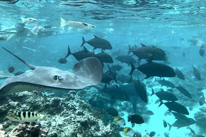 Jet Ski Moorea Private Tour only - Who Will Love This Tour?