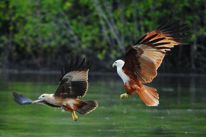 Jet Ski Through Langkawis Stunning Mangrove Andaman Sea - Final Thoughts