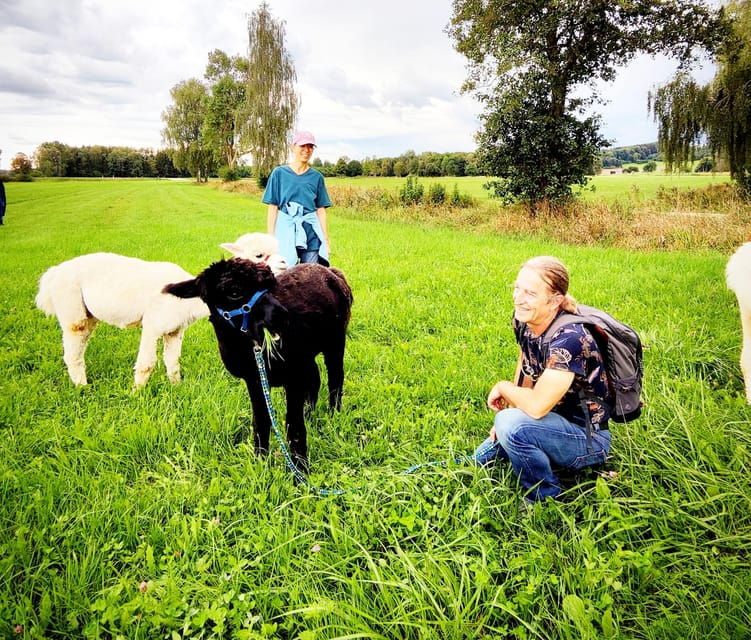 jettingen-scheppach-alpaca-hike-through-the-mindeltal