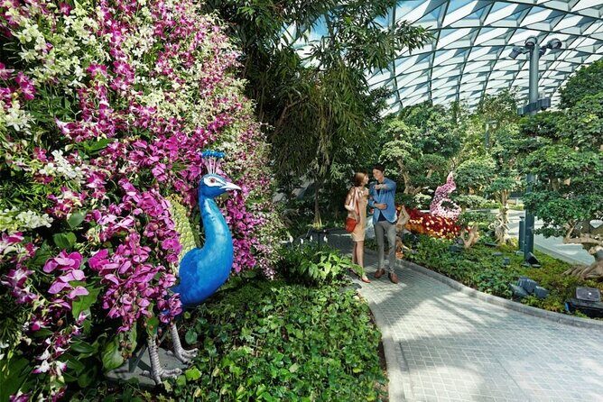 Jewel Changi Airport: Hedge Maze and Canopy Park Ticket - Analyzing the Experience: What It’s Like