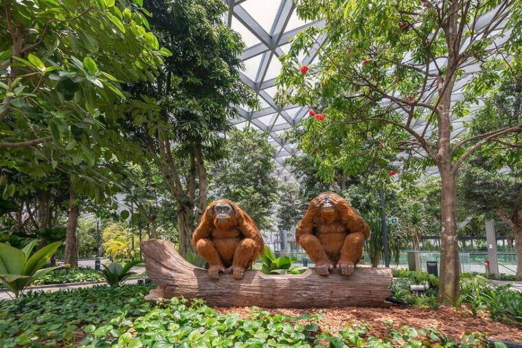 jewel-changi-airport-hedge-maze-and-canopy-park-ticket