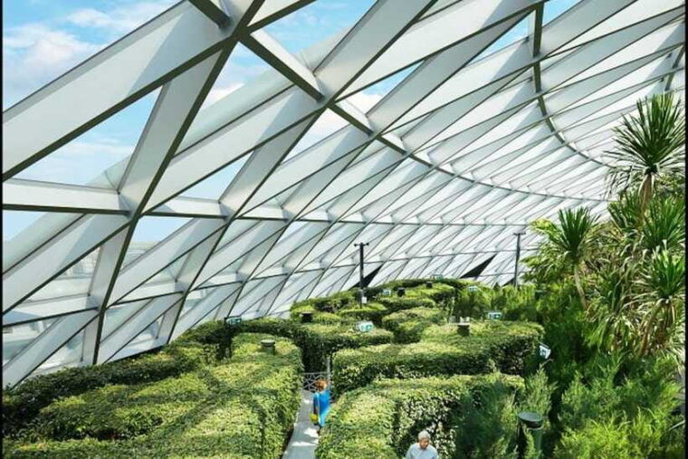 jewel-changi-airport-hedge-maze-and-canopy-park-ticket