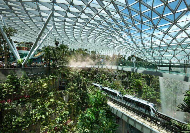 Jewel Changi Airport: Mastercard® Canopy Bridge Admission - A Closer Look at the Canopy Bridge Experience