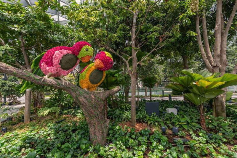 jewel-changi-airport-sky-nets-admission-ticket