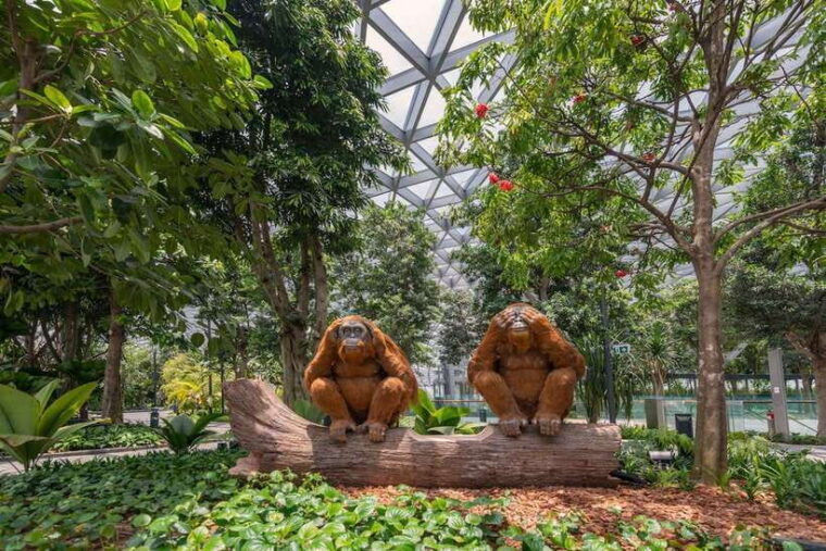 jewel-changi-airport-sky-nets-admission-ticket