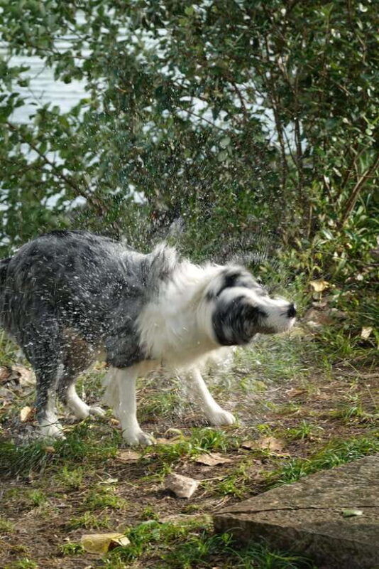 jiaxing-customizable-private-tour-with-local-guide