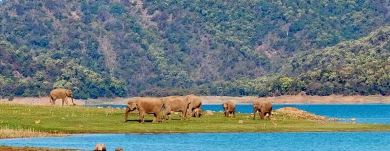 Jim Corbett: 3-Day Safari Tour by Flight from Bangalore - Detailed Itinerary Breakdown