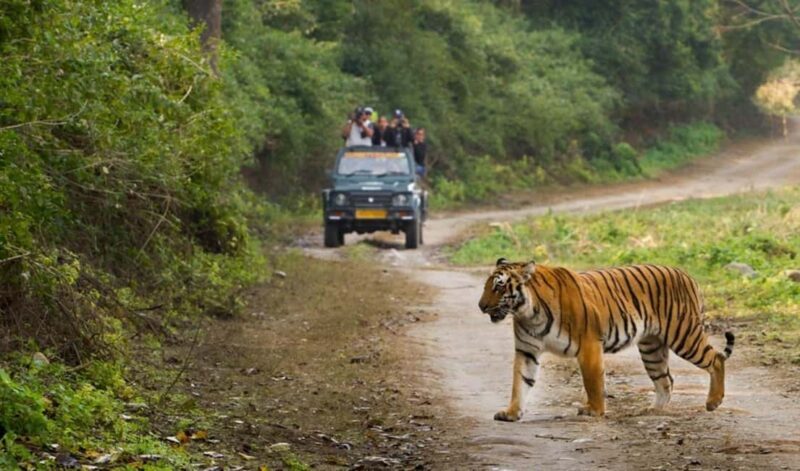 Jim Corbett: 3-Day Safari Tour by Flight from Mumbai - Key Points
