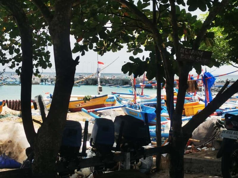 Jimbaran: Exotic Culinary Fish and Seafood Tour - The Culinary Experience: From Market to Plate