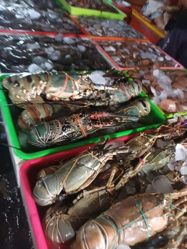 Jimbaran: Exotic Culinary Fish and Seafood Tour - Who Should Consider This Tour