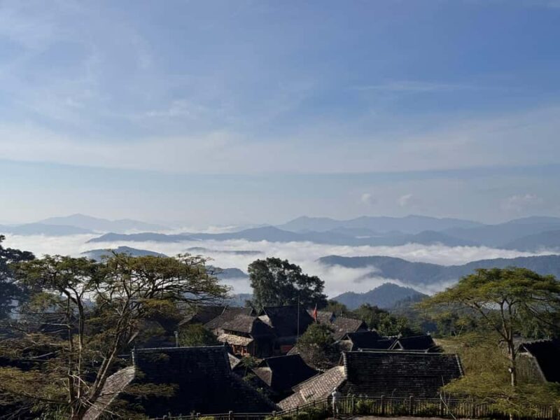 Jingmai Mountain (UNESCO) | Old Tea Forests and Dai Villages - The Real Value of This Tour
