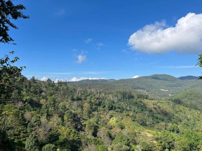 Jingmai Mountain (UNESCO) | Old Tea Forests and Dai Villages - The Sum Up