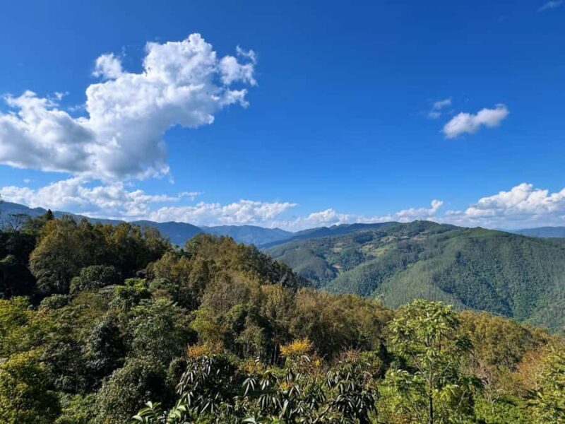 Jingmai Mountain (UNESCO) | Old Tea Forests and Dai Villages - FAQ