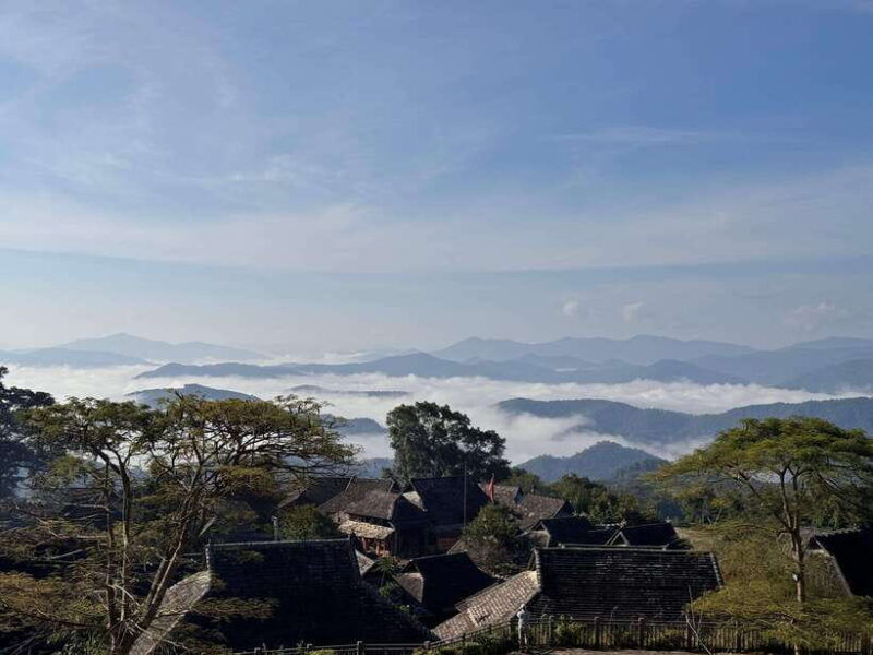 jingmai-mountain-unesco-old-tea-forests-and-dai-villages