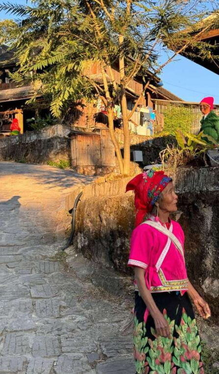 jingmai-mountain-unesco-old-tea-forests-and-dai-villages