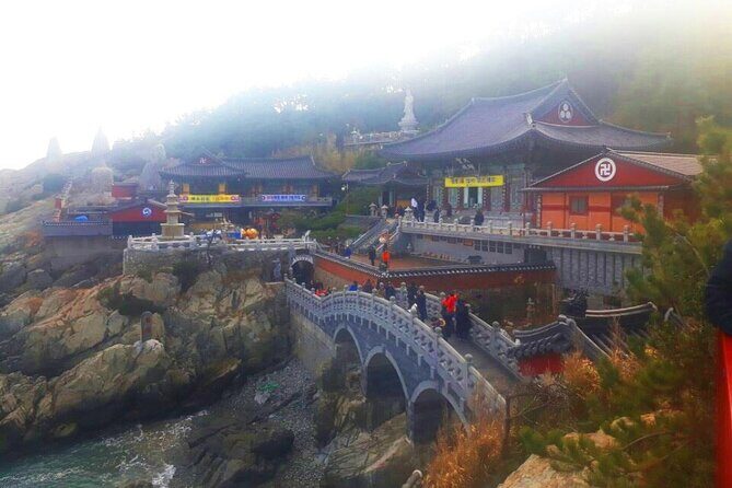 Jinhae Cherry Blossom + Busan Sunrise from Seoul - Authentic Insights from Reviewers