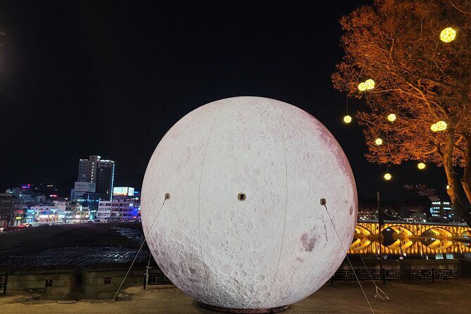 Jinju Namgang Yudeung Festival Bus tour from Busan - Tips for Making the Most of the Tour