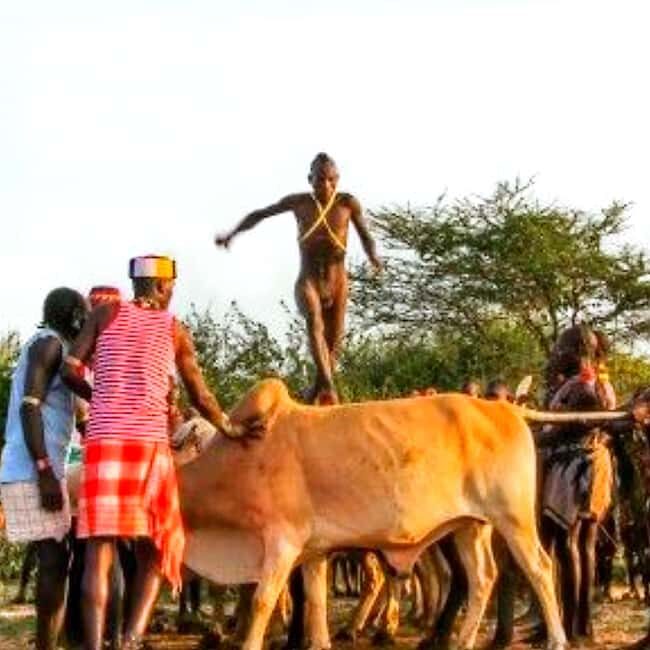 Jinka: 4-Day Omo Valley Tribes Tour with Accommodation - Key Points
