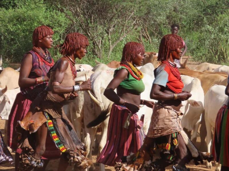 Jinka: 4-Day Omo Valley Tribes Tour with Accommodation - FAQs