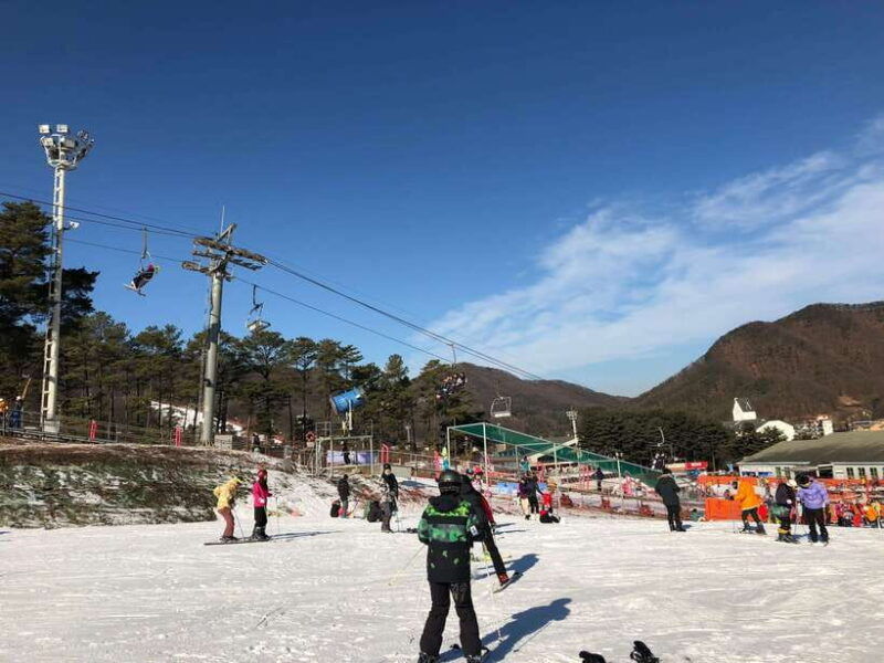 jisan-forest-ski-resort-one-day-tour