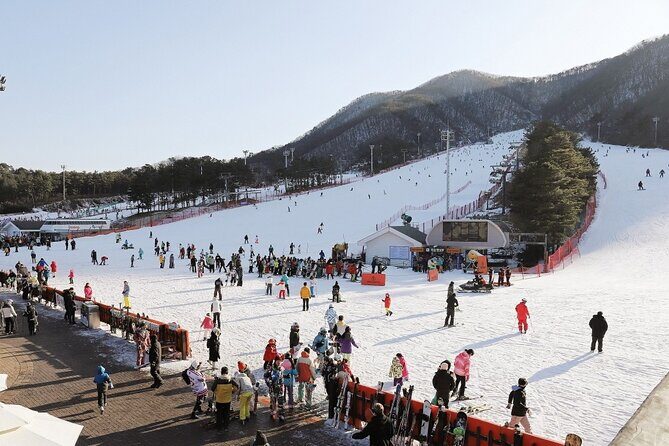 Jisan Forest Winter Ski Day Tour from Seoul with Basic Lesson - What to Expect on the Jisan Forest Ski Day Tour