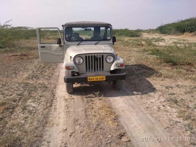 Jodhpur Bishnoi Village Safari With Meal - A Day Tour - The Sum Up