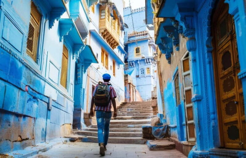 Jodhpur: Blue City Full-Day Tour with Guided Heritage Walk - The Sum Up: Who Should Consider This Tour?