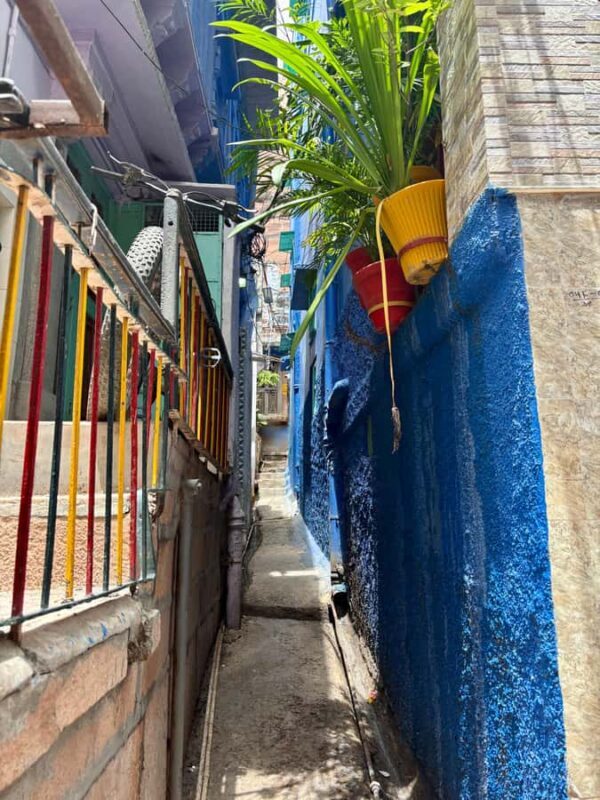 Jodhpur: Blue City Heritage Walking Tour with Guide - Who Will Love This Tour?