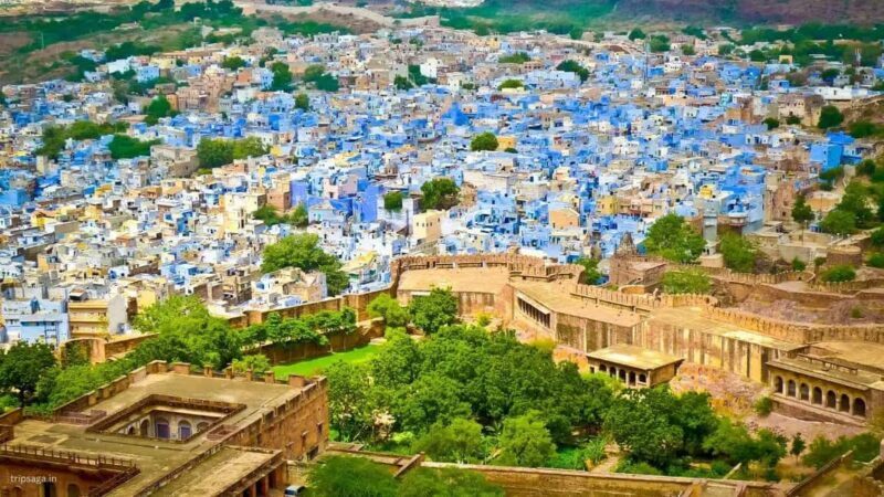 Jodhpur: Blue City Heritage Walking Tour with Pickup & Lunch - What Makes the Jodhpur Blue City Heritage Walking Tour Stand Out?