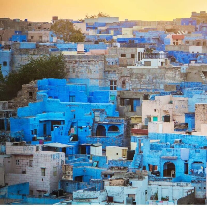 Jodhpur: Blue City Walking Tour & Palm Reading Session - Why This Experience Offers Value