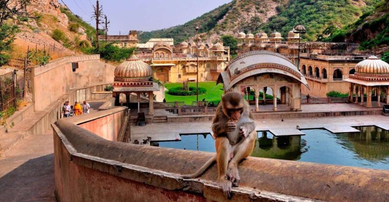 Jodhpur: Blue City Walking Tour - The Sum Up