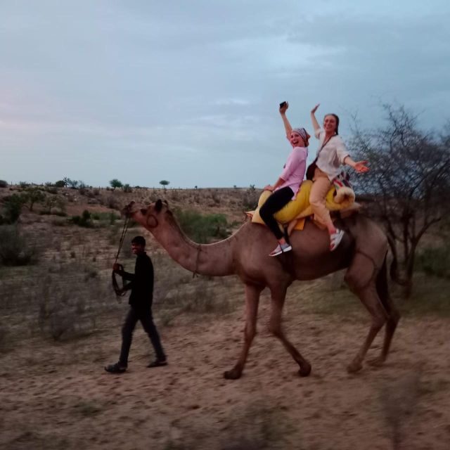 Jodhpur Camel & Jeep Safari with Sunset, Folk Dance, Dinner - FAQ