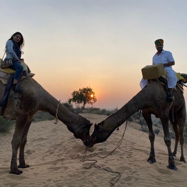 Jodhpur Camel Safari & Overnight Stay In Desert With Sumer - Final Words