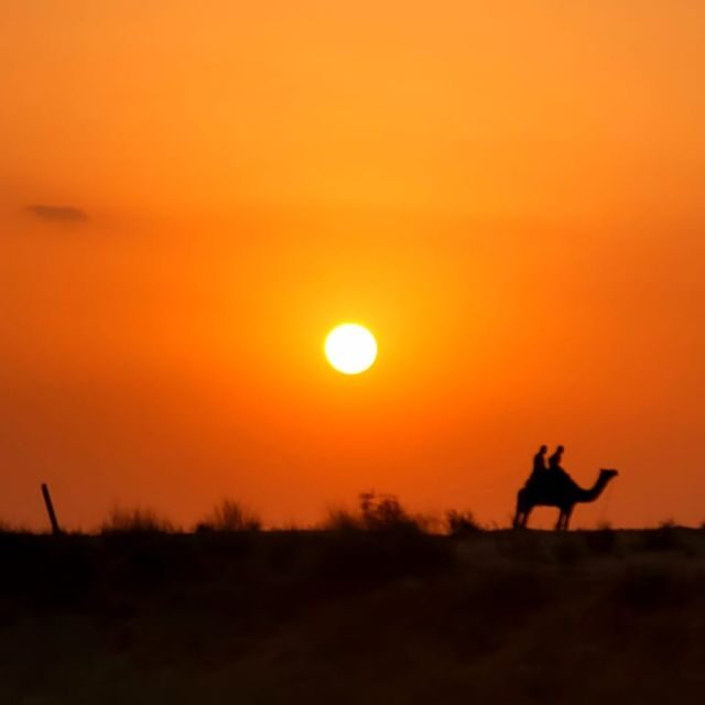 Jodhpur Camel Safari With Traditional Food With Sumer - Discovering Rajasthan’s Desert Charm