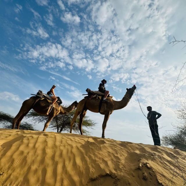 Jodhpur Camel Safari With Traditional Food With Sumer - Practical Tips for Travelers