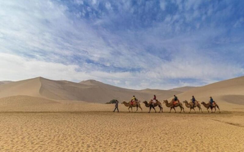 Jodhpur city tour in private car with guide - Umaid Bhawan Palace