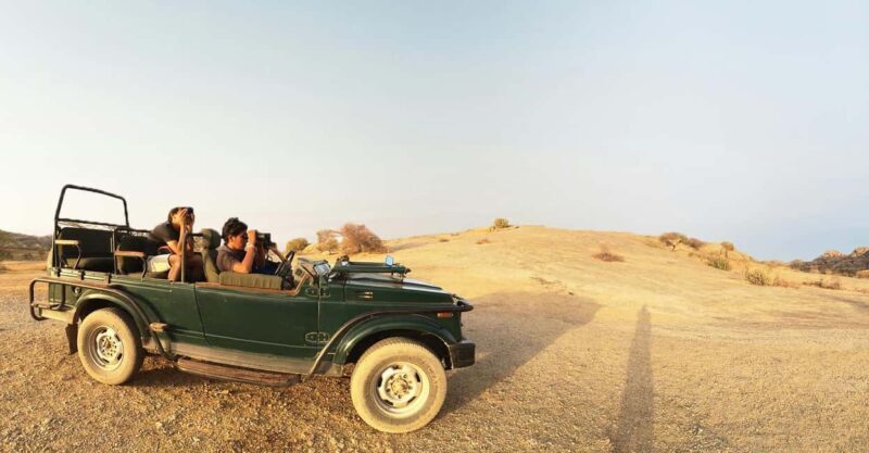 Jodhpur: Day Trip to Jawai Leopard Safari and Ranakpur - Practical Tips for a Great Experience